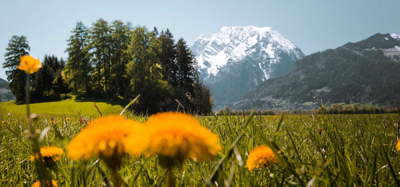 Grimming im Frühling am Glitschnerhof