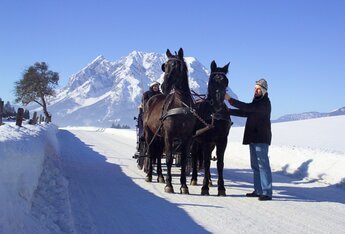 Pferdeschlittenfahrt rund um den Glitschnerhof (c) Bergregion Grimming
