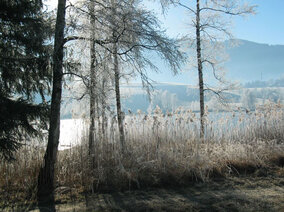 Winter erleben