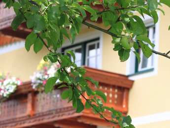 Balkon in den Garten